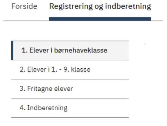 Billedet viser fane 1 til 4 under fanebladet Registrering og indberetning.