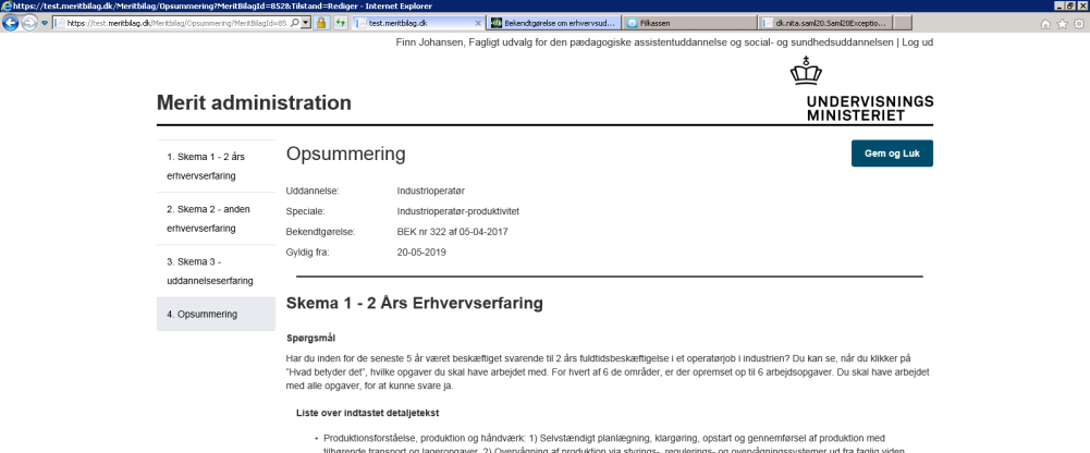 Billedet er en skærmvisning af trinnet Opsummering.