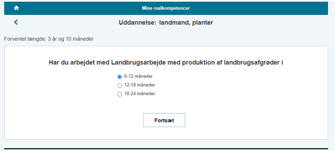 Billedet viser hvordan mine realkompetancer ser ud når meritbilaget er godkendt