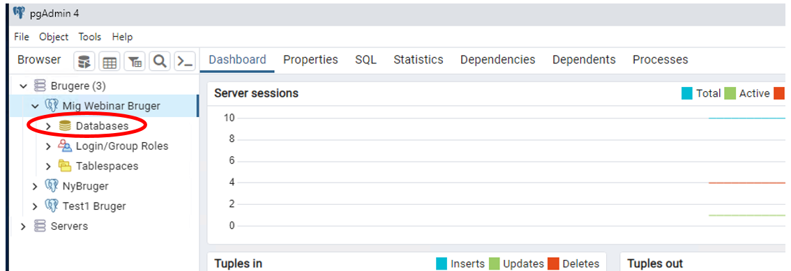 Siden pgAdmin vises, hvor menupunktet Databases er markeret