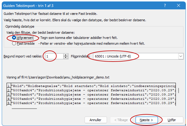 Billedet viser markering af feltet Afgrænset, skriv 1 i Begynd import ved række og vælg 65001 Unicode (UFT-8) i Filoprindelse