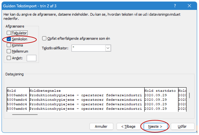 Billedet viser markering af Semikolon i feltet Afgrænsere. Afgrænsningen ses nu i feltet Datavisning